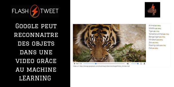 FlashTweet's tweet image. 7️⃣[#IntelligenceArtificielle] #Google peut reconnaitre des objets dans une #video  buff.ly/2nlyM75 @verge #FlashTweet