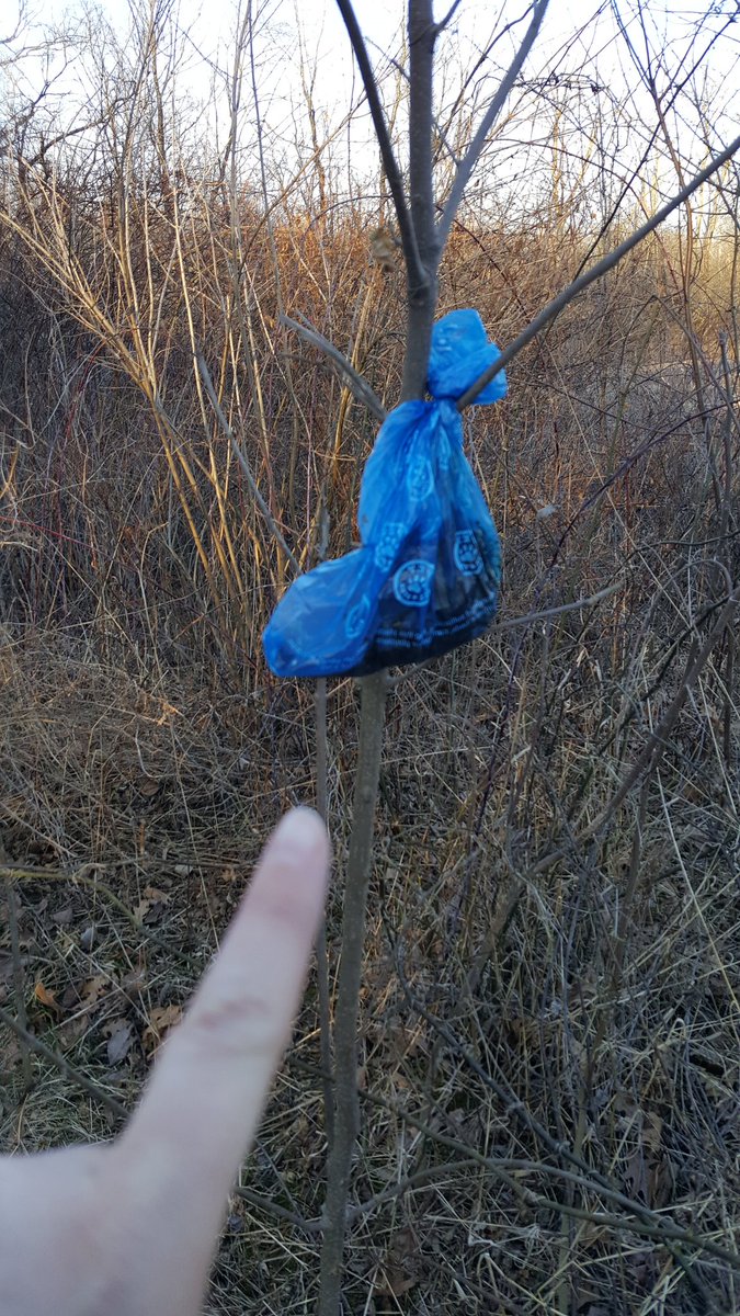 LLSHMDfn2's tweet photo. I haven't seen @jimmykimmel do the #FingerOfShame bit in a while, but If you do it again, I've got one. Dog poop in a bag @JimmyKimmelLive 😂 https://t.co/bU29n00AwQ