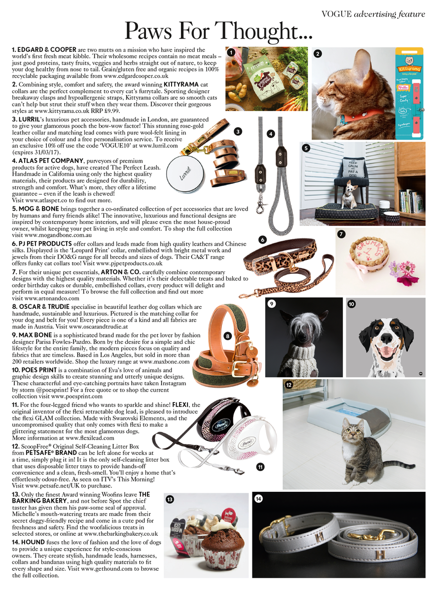 Kittyrama tweet media