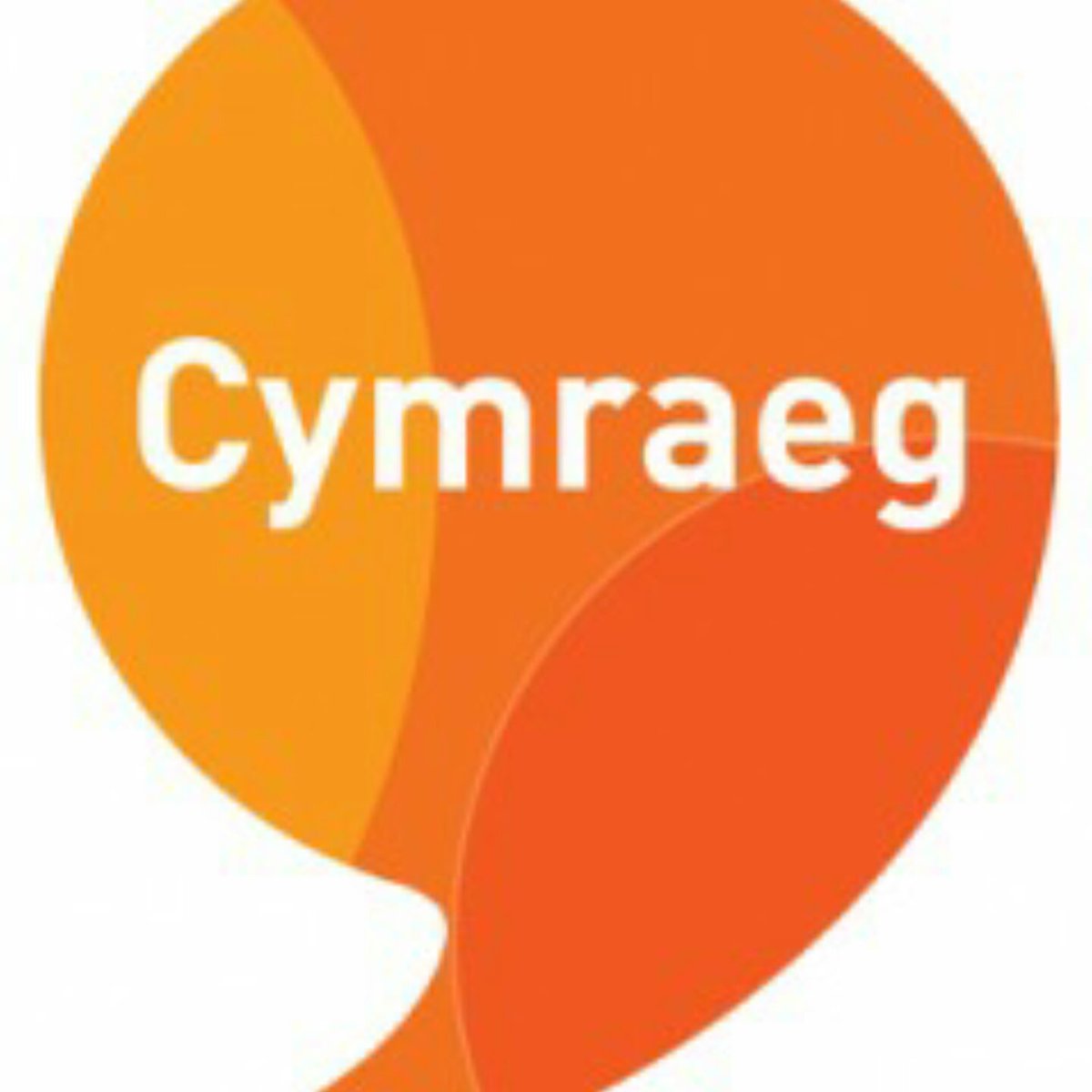 Cyf_Cymraeg's tweet photo. #NewProfilePic https://t.co/QDHussB2Jj