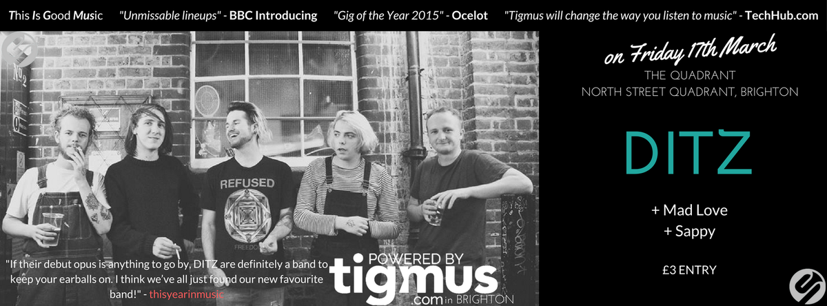 TigmusInBrighton tweet media