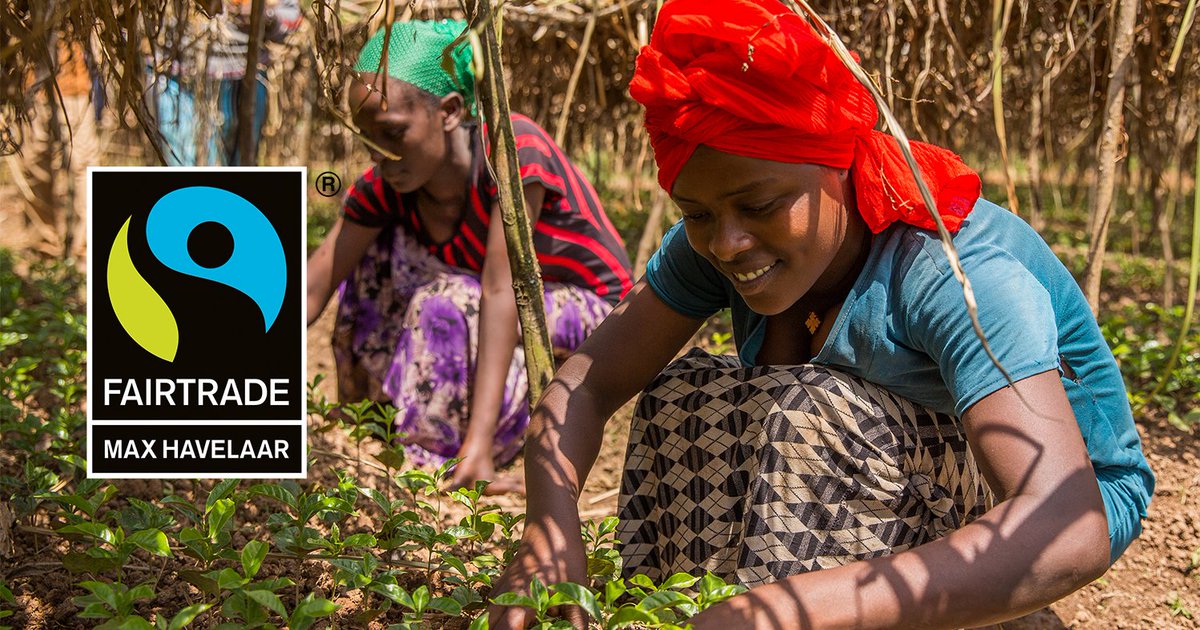 EarthBeers's tweet photo. Working on becoming on of the first Fair-trade beer company's! Enjoy Earthbeer to support us! #fairtrade #savetheearth #LoveBeerLoveEarth https://t.co/ekNtJG3om1