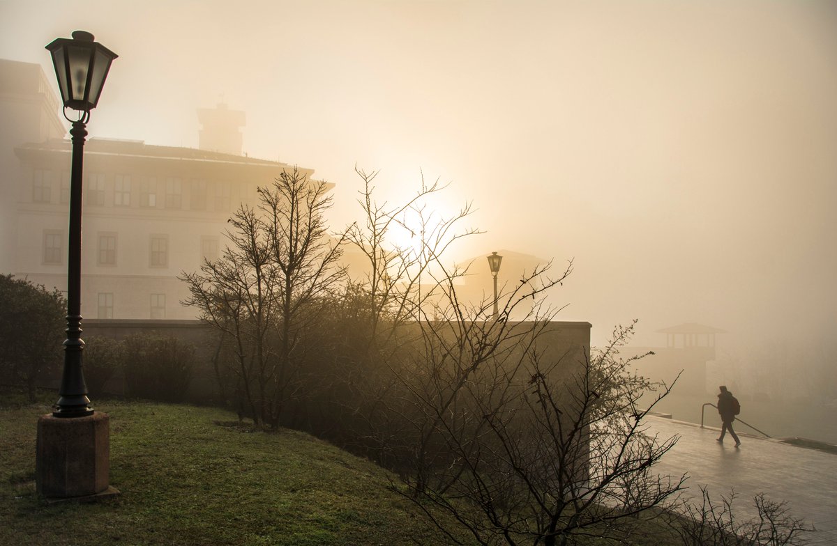 Eerily #beautiful in fog. Early hours of the morning at #koçuniversity