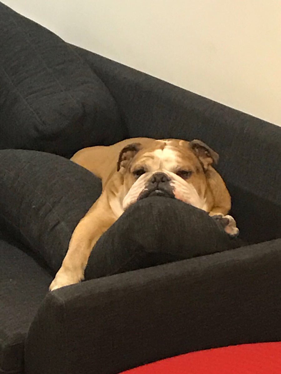 CamilleCombal's tweet photo. Crevé par l'emission radio de radio de ce matin. J'ai tout donné. GROUCHO https://t.co/FzrwQeyX7X