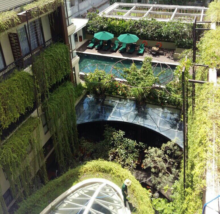 swissbelhotel's tweet photo. Something different in #Bali! 
Experience the beauty of #rainforest in the central business and tourism district of #Kuta @rainforestkuta https://t.co/Ow8Vygej36