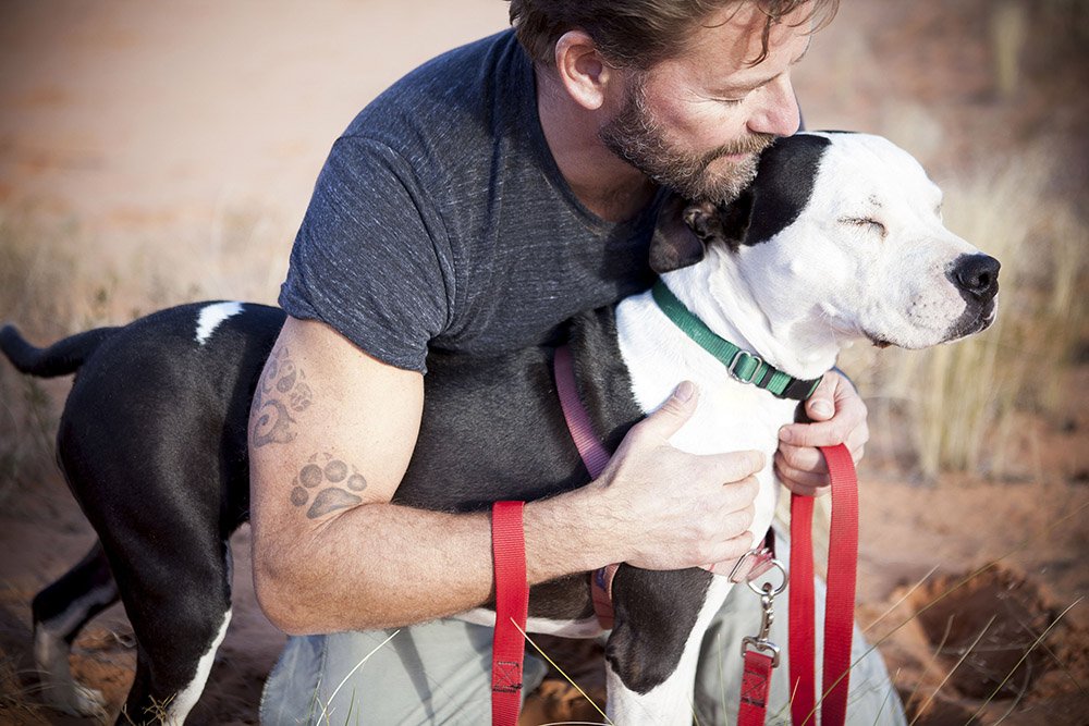 GuauPost's tweet photo. ¿Por qué se cobra una tasa de #adopción? Es un ingreso destinado a cubrir los gastos sanitarios de dicho animal. https://t.co/dRxeZpybnI https://t.co/8sQvLDzQRv