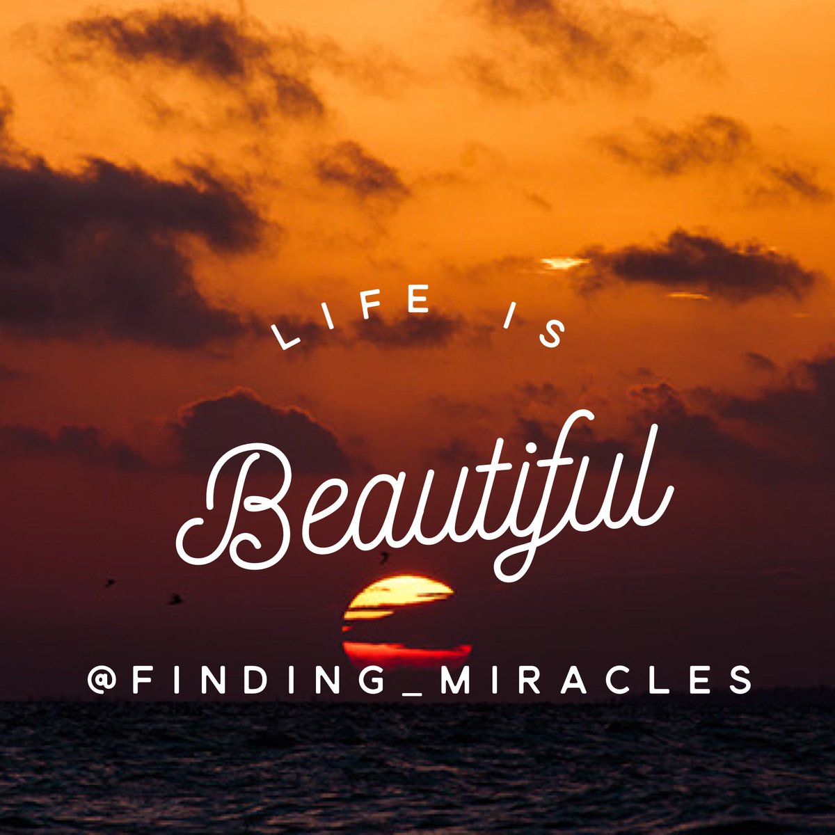 Finding_miracle's tweet photo. Life is Beautiful. #affirmation #InspirationalQuotes #positivequotes #motivationalquotes #life #FridayFeeling #findingmiracles #fridayvibes https://t.co/BsFBOKWm61