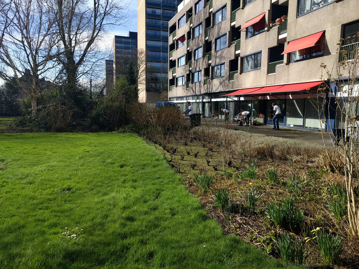daang74's tweet photo. @CareynOnline Tuindorp Oost in de lente! Goed weer om te tuinieren met @intrakoop tijdens @NLDOET 2017 #vrijwilligers! https://t.co/a1T5UAqXEq