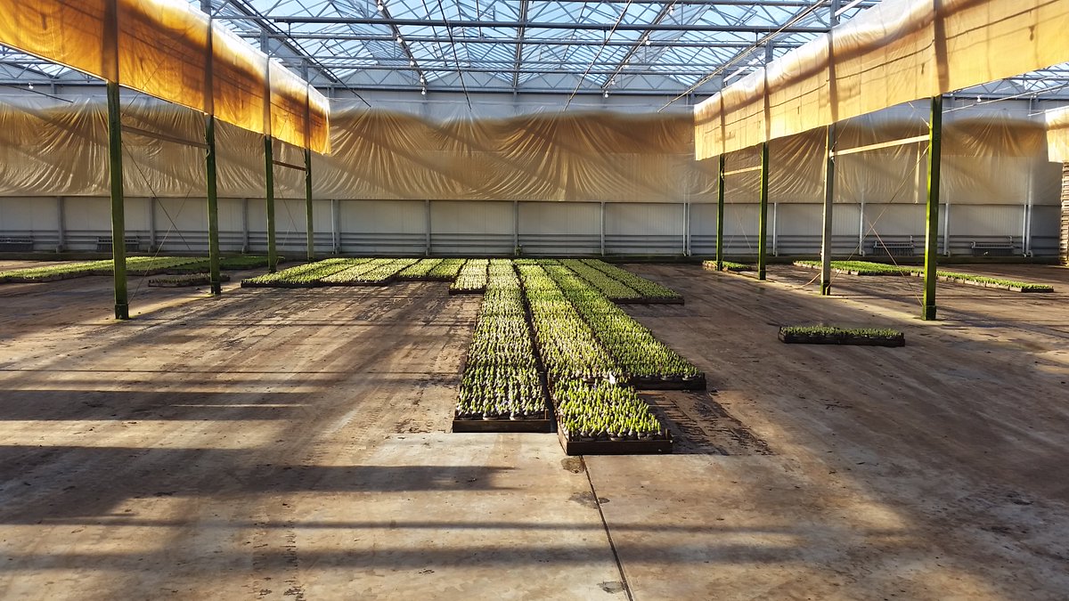 CDANWH's tweet photo. Boeiend bezoek aan @flowerboostnl met CDA kandidaat @JHTerpstra, o.m. gesproken over Wet Werk &amp; Zekerheid en ontsluiting regio @cdavandaag https://t.co/KNM6PCd9sC