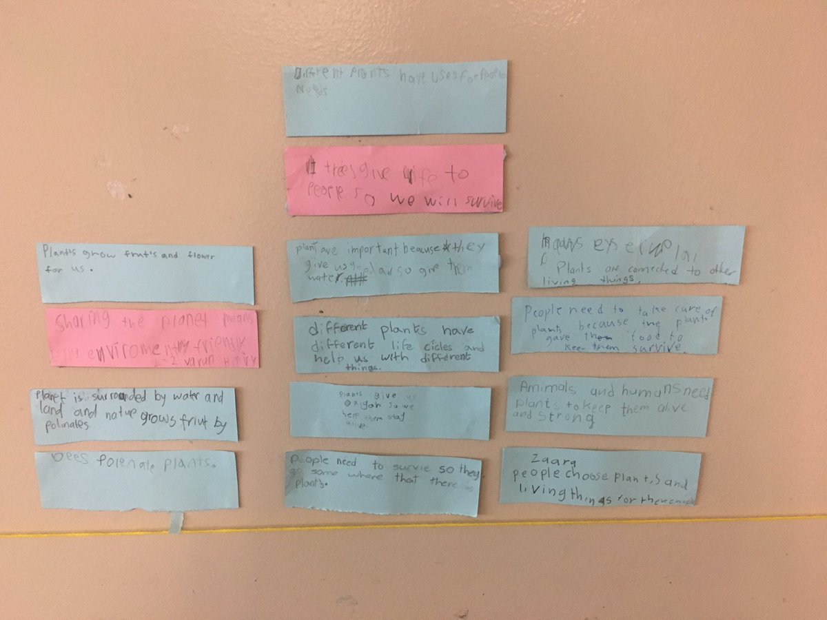 Using our field research to inform our guesses around the central idea. #CISprimary <a href="/ibpyp/">IB PYP</a> #sharingtheplanet  #grade2