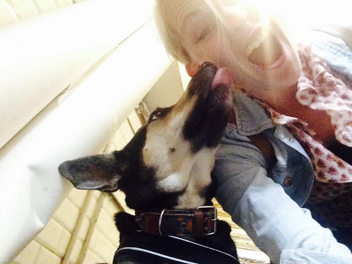 Iemand een gouden tip voor appartement Haarlem vanaf deze zomer (800/900 excl.) voor mij en mijn (rustige) hondje Luna? Gouden tip: taart!