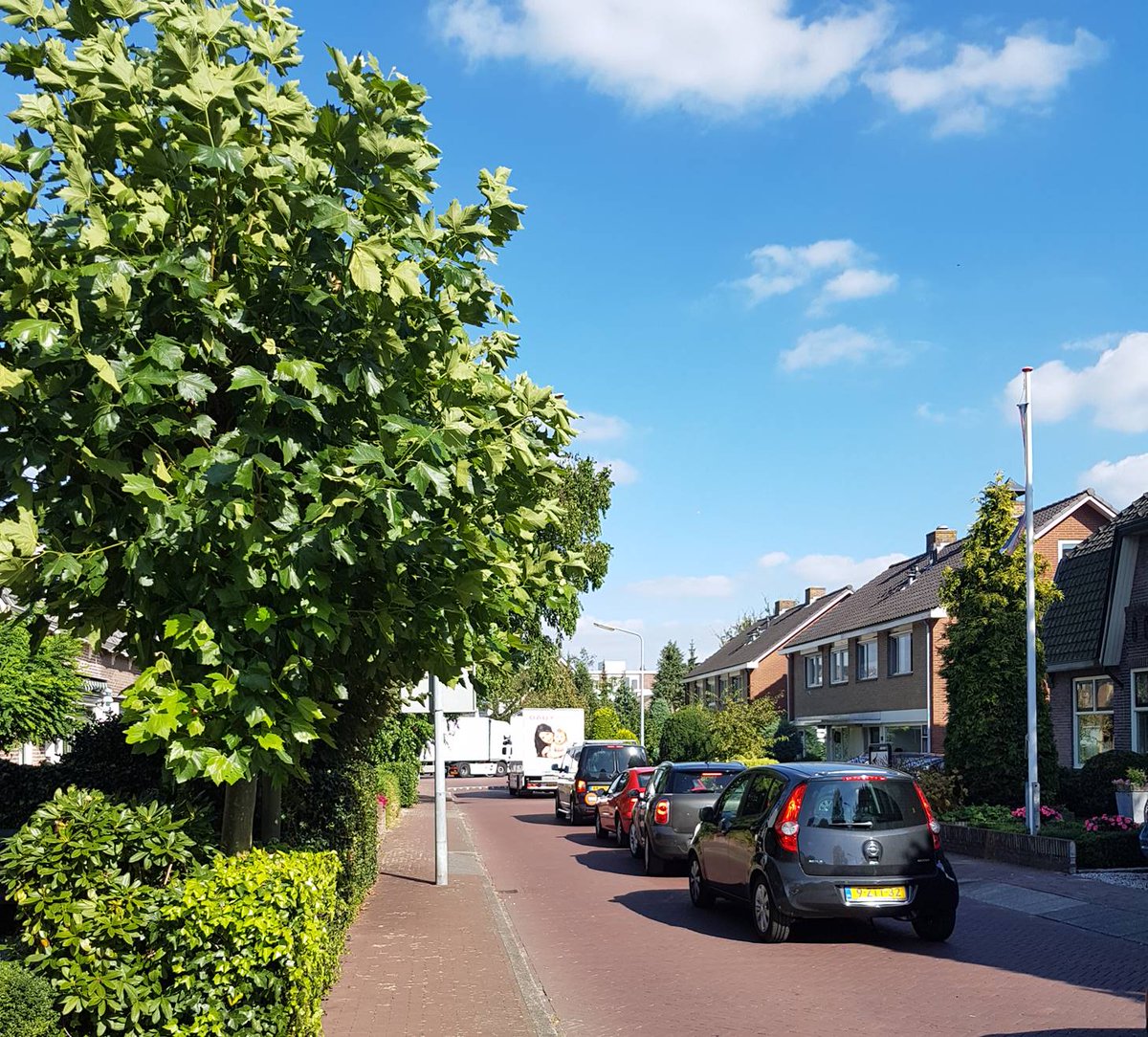VriendenD's tweet photo. Wanneer je denkt in oplossingen en niet in problemen, ligt er een speelveld braak tussen haalbaar en onhaalbaar. https://t.co/v5Cuo5LLA9 https://t.co/67nGvTZxLH
