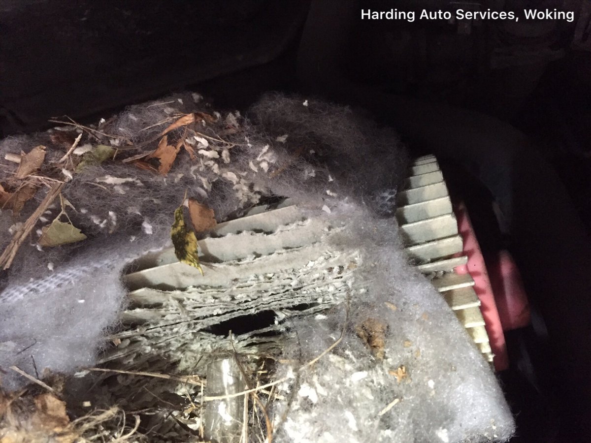 Hardingautos's tweet image. Following loss in power in a #landrover we found that a mouse had attacked the #airfilter. Culprit was never found &amp;amp; must have fled! #woking