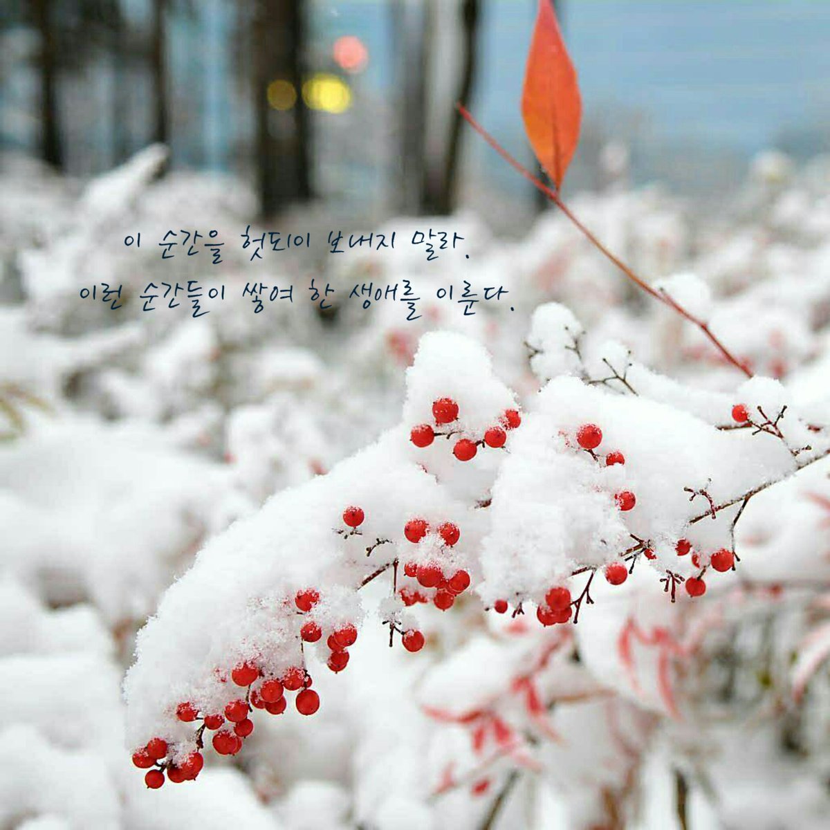 시간을 낭비하기는 너무도 쉽다.
그 잃어버린 시간을 되찾으려 할때, 
비로소 사람들은 그 엄청난 금리에 
놀라는 것이다. 

미야베미유키『낙원2』