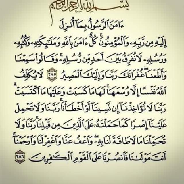 samehsayed4444 tweet picture