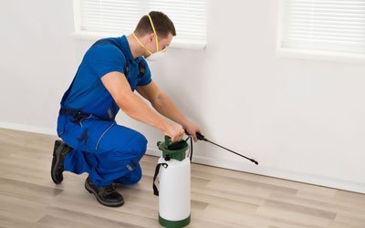 911BedBugs's tweet photo. 4 Effective Tips For Protection Against #BedBugs While Traveling. https://t.co/DKnyf2zGcV #Pestcontrol #911BedBugs https://t.co/ykM1LGcG2T
