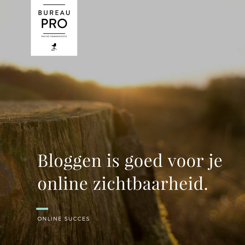 Bloggen is goed voor je business. #onlinesucces #blog #vloggenook