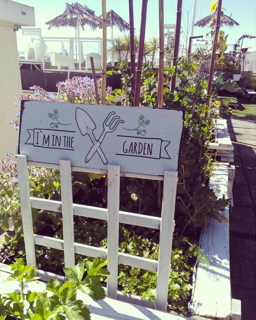 DestinationHost's tweet photo. Did you know that #sunsetdestinationhostel has it's own garden ? ☀🌱🌿♻👍
.
.
#destinationhostels #hostellife #lisbon … https://t.co/7fXkZpVZBW