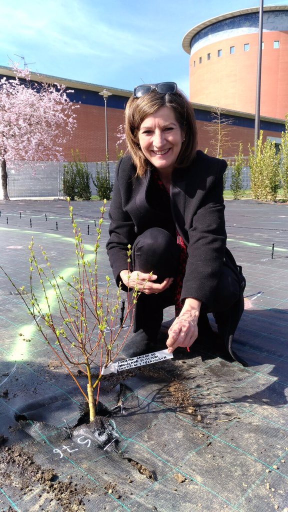 nievesgordon's tweet photo. Por delegacion  de @divulgACCION ya tienen un Salix Integra "Hakuro Nishiki" #jardindelagalaxia @pamplonetario https://t.co/BX59jwAGsT