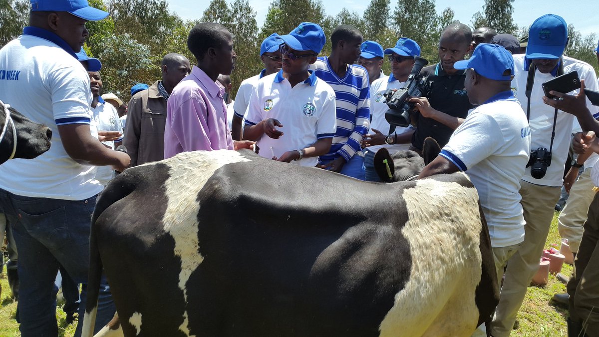 #SeasonB launch &amp; #Girinkaweek closing @Gicumbi, Nyankenke Sector <a href="/RwandaAgri/">Ministry of Agriculture & Animal Resources |Rwanda</a> <a href="/MarkBagabe/">Mark Bagabe</a> <a href="/GicumbiDistrict/">Gicumbi District</a> <a href="/k_chris2005/">KanyandekweChristine</a> <a href="/Izamuhaye/">Izamuhaye J Claude</a>