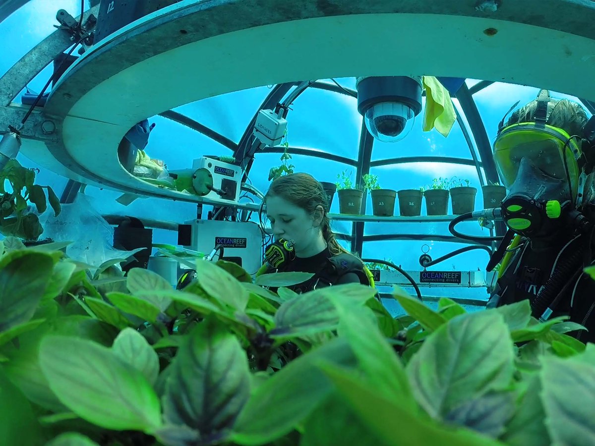 Bayer Ag Education on Twitter: "Self-sustaining "Nemo's Garden" is an  example of farming in extreme locations. Find out more →  <a href=