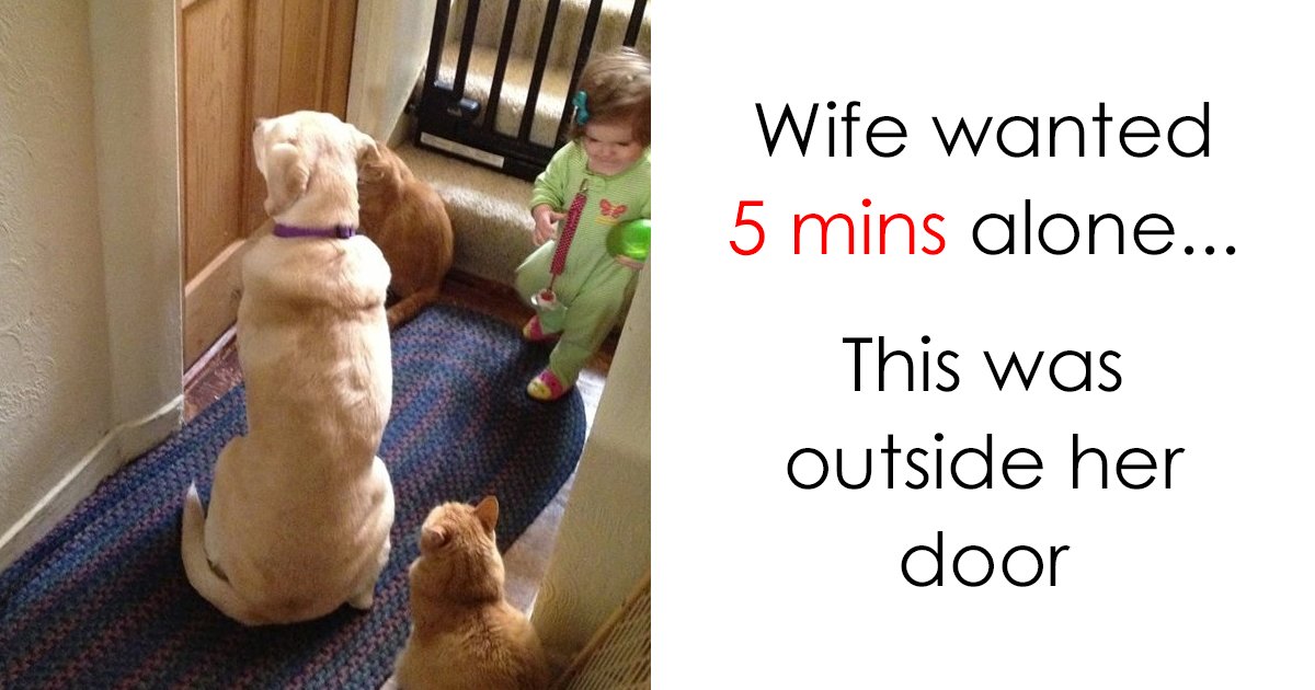 Bored Panda On Twitter 10 Parenting Memes That Will Make You Laugh So Hard It Will Wake Up Your Kids Https T Co Hspuu0cbub Funnymemes Kids Parents Https T Co B1wojtnxfi