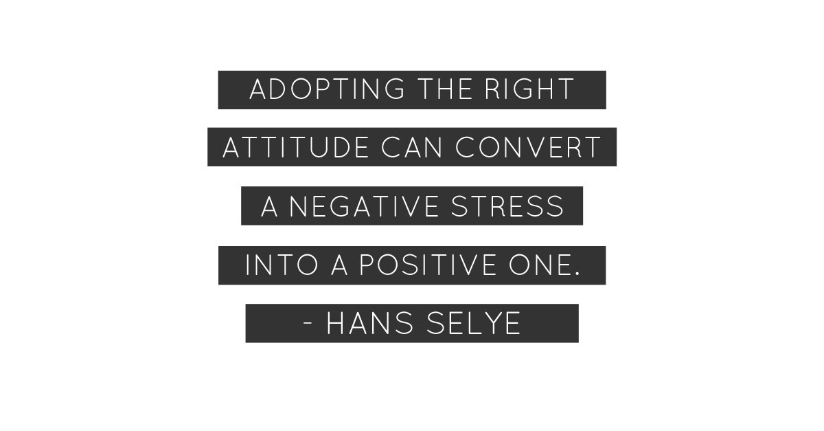 Laura Rideout (@wholisticwave) on Twitter photo 