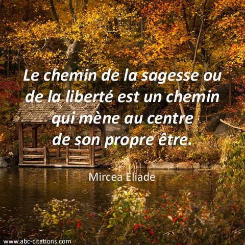 Citations Du Monde On Twitter Le Chemin De La Sagesse Ou De La