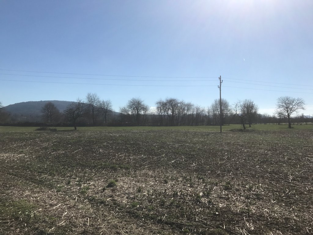 iMic76's tweet image. Endlich wieder #Sonne #Frühling