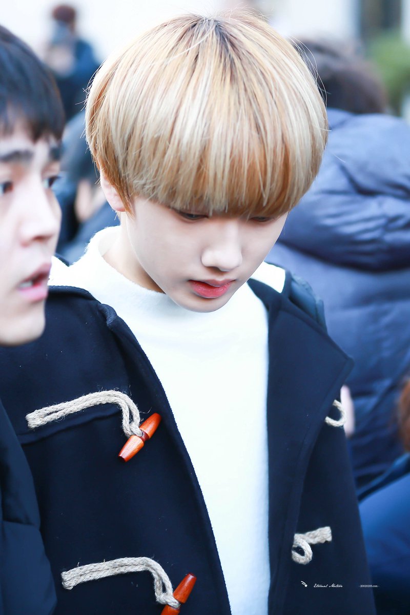 이터널미티어 ^🐤^ tweet media