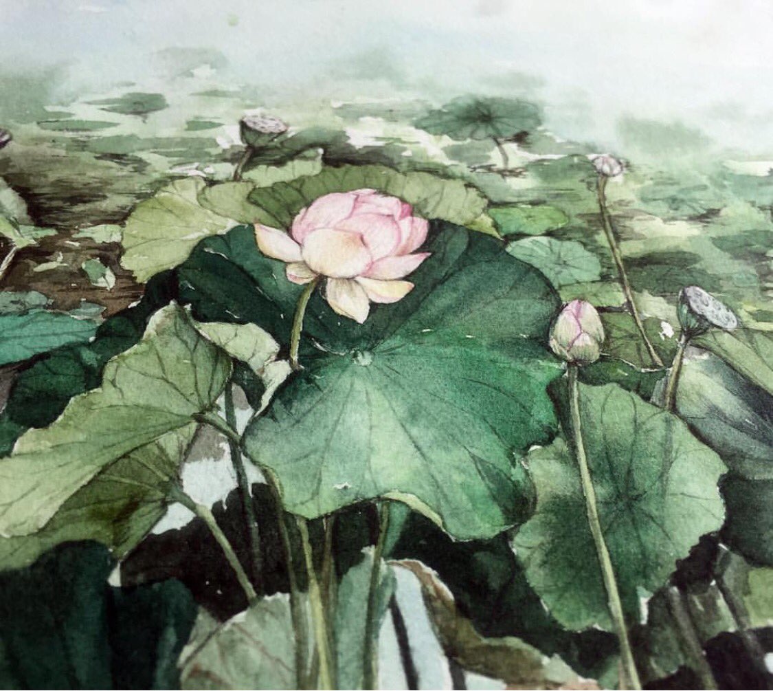 So calming 💚 👉by <a href="/sophialiuuuuu/">Kate White</a> #watercolour_gallery