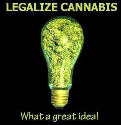 tommychong's tweet image. 💯