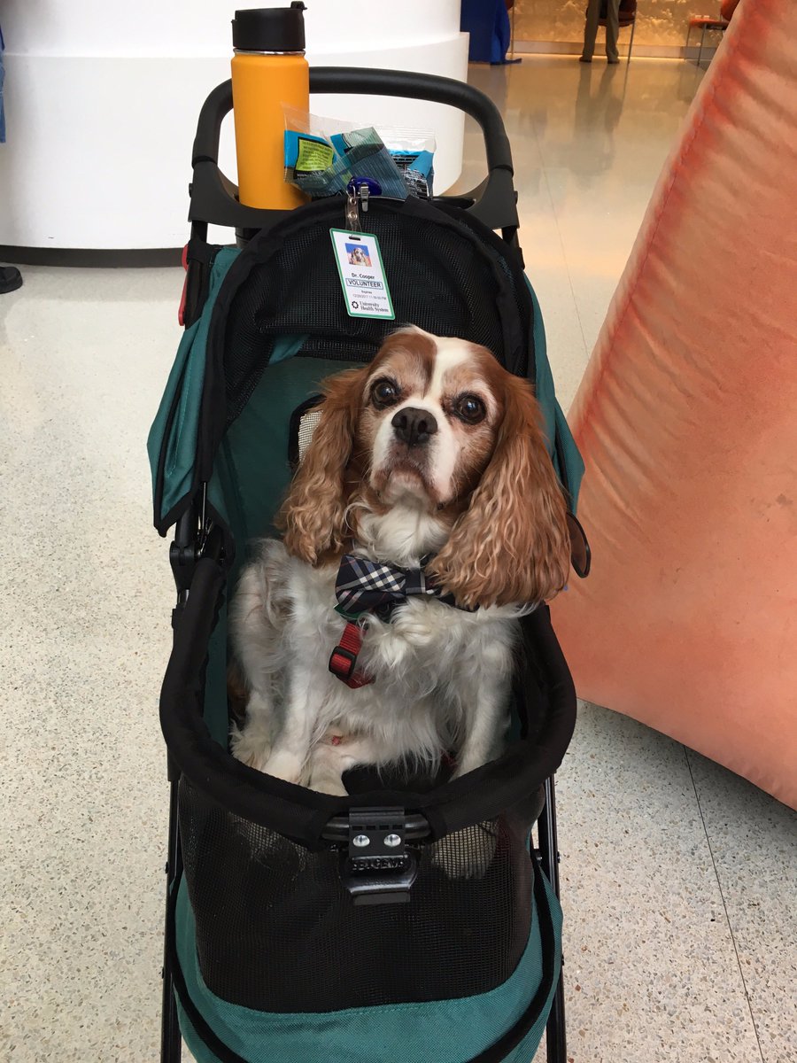 SnehaMPH's tweet photo. Pet Therapy Dog, Dr. Cooper came to visit us at the GIANT Colon Tour today at University Hospital! #ColorectalCancerMonth #CancerCHE https://t.co/wuTFDHbtGz