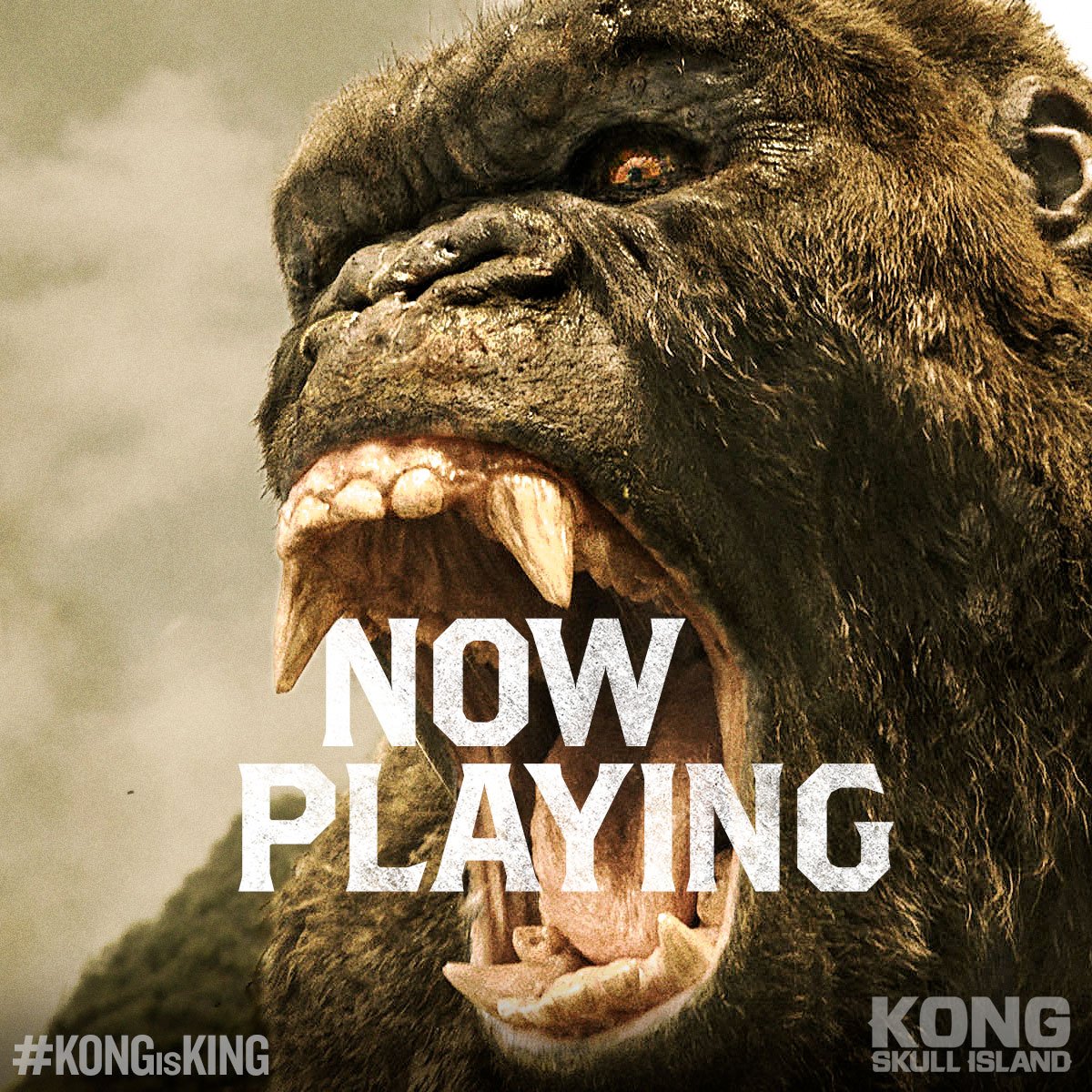skull island king kong free online skull island king kong free online
