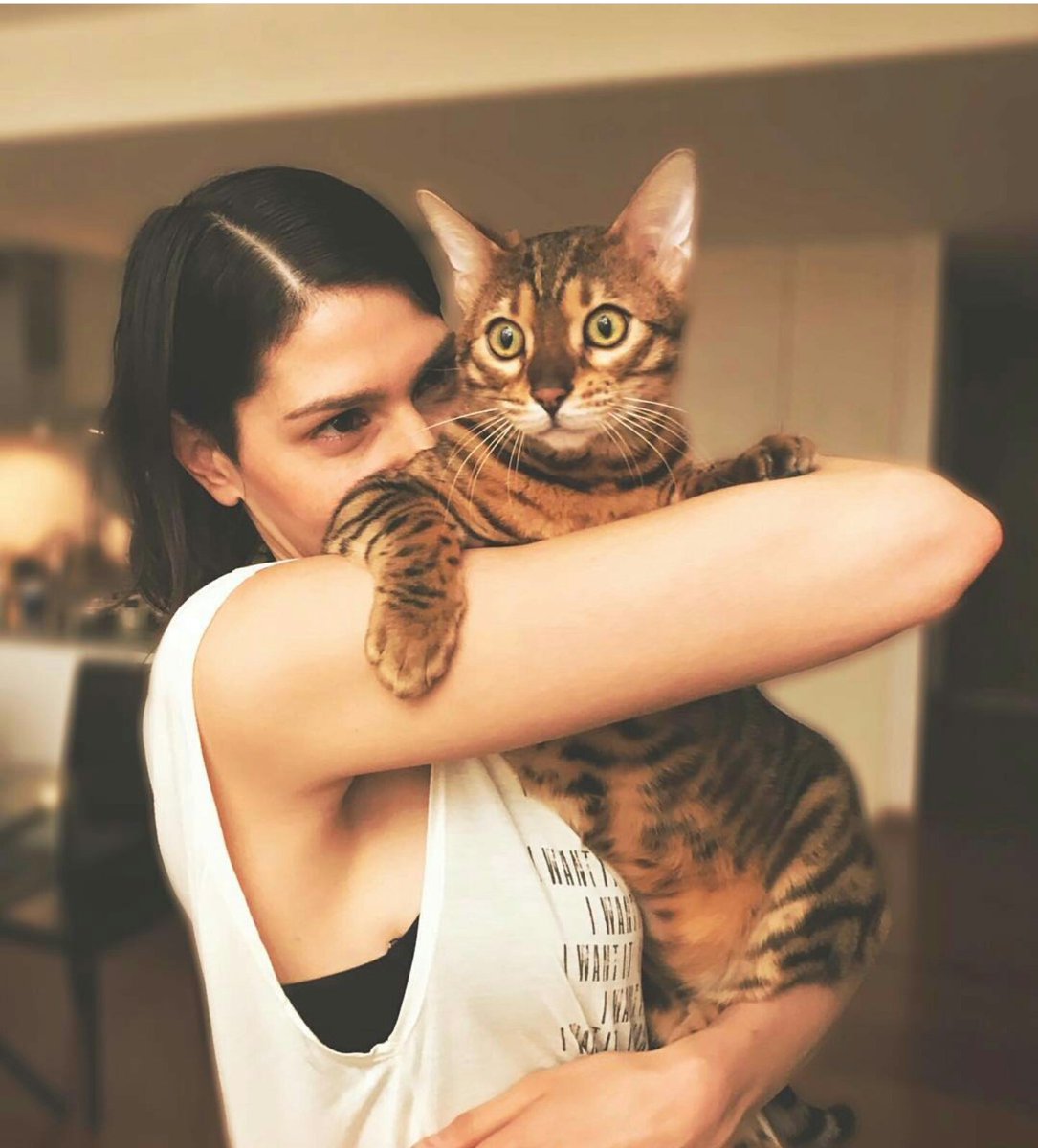 smiledwithgrace's tweet photo. Una bebe con un gatito 😍🐱❤ https://t.co/snBKPgeujl