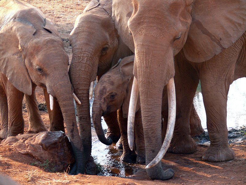 Shortlisted to win <a href="/ConserveOutdoor/">EOCA - European Outdoor Conservation Association</a> funding for our new eMAP project! Public will decide winners - pls vote for us! bit.ly/1eUMGSu