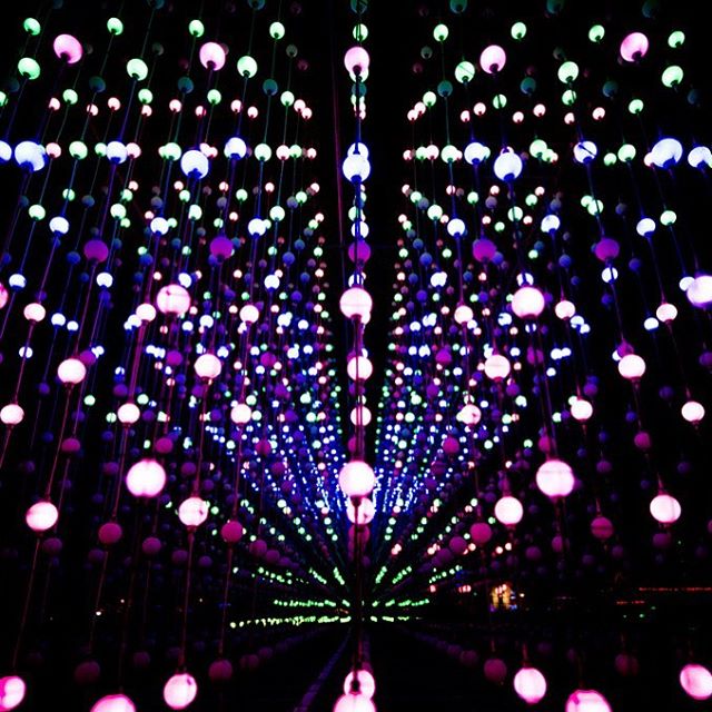 NikonEurope's tweet photo. What do you do with 50,000 ping pong balls? #50Kfans #NikonFans #ThankYou Credit:  'The Glorious Ping Pong Balls' Davin Sanchez, #NikonD3 https://t.co/MDgr95t7uq