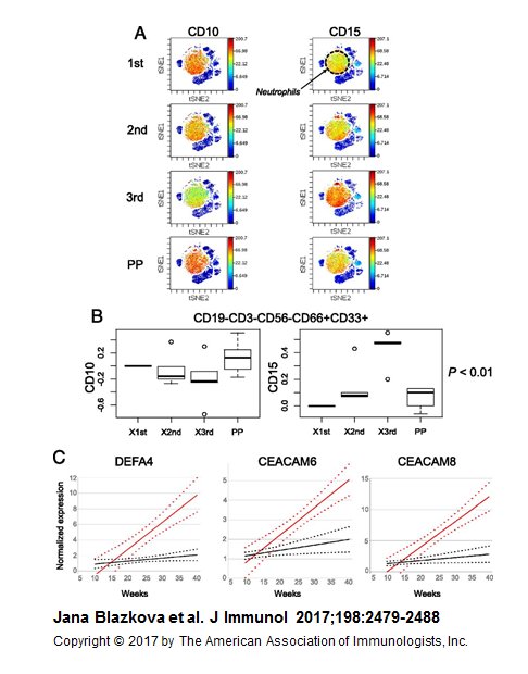 view neural models of plasticity experimental