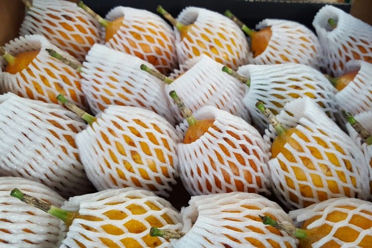 Bioworld tweet media