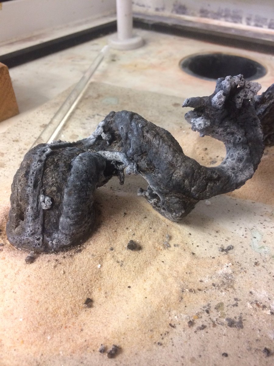 BogwoppitFee's tweet image. Practising one of our science club demos for #DemoDay17 soda snakes with icing sugar &amp;amp; bicarb of soda @RishworthS #BSW17 @ScienceWeekUK