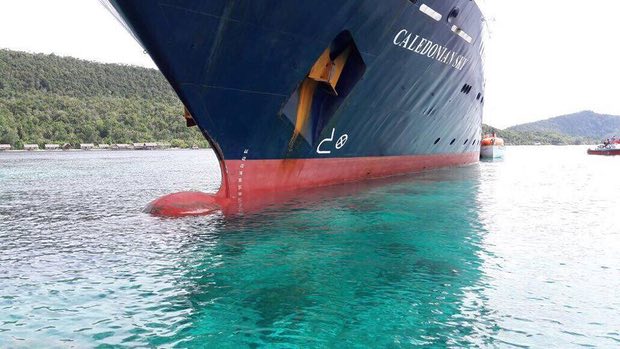 ConserveGuide's tweet photo. Clumsy Cruise Kills Coral - British owned cruise ship damages 1,600sq metres of #coral in Raja Ampat, #Indonesia 😢 https://t.co/O0vOv76iaB https://t.co/cJTjWCGYLm
