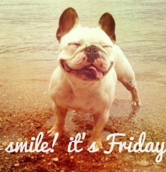 Hendrick_Subaru's tweet photo. #HappyFriday from your friends @ #PerformanceSubaruCH! #FridayFeeling #Performance #Subaru #ChapelHill #RDU #DestinationSouthpoint #DurhamNC https://t.co/ZJ4jw8izB3
