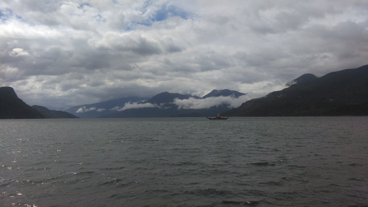 PerthshireCCP's tweet photo. Heading south into the fjords on the trail of giant Alerce! @RBGE_ICCP @BenmoreBotGdn @PKCTrust @ntcs_info  #rbgehort https://t.co/WGZSoE4iux
