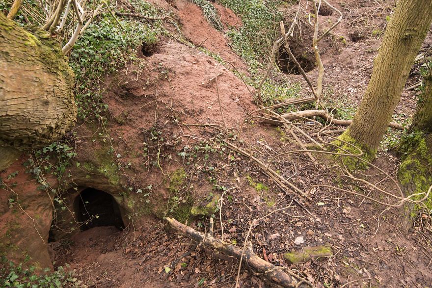 cflegette's tweet photo. A hole in the ground leads to a huge #secret #KnightsTemplar #Caves #Religion #Christian #London #England #Art https://t.co/Q9pGgWMki5 https://t.co/FzUNfIFlJA