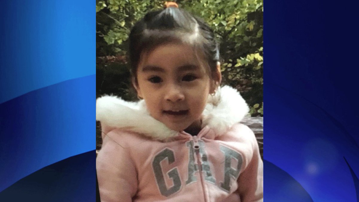 CityNewsTO's tweet photo. Update: Girl, 4, at centre of Amber Alert found safe: Toronto police https://t.co/QxtAZabNLE https://t.co/sIFTYXsqgq