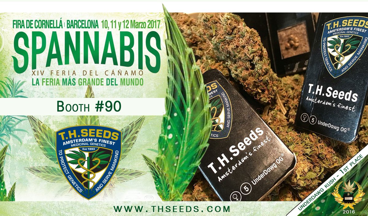 T.H.Seeds® Amsterdam tweet media