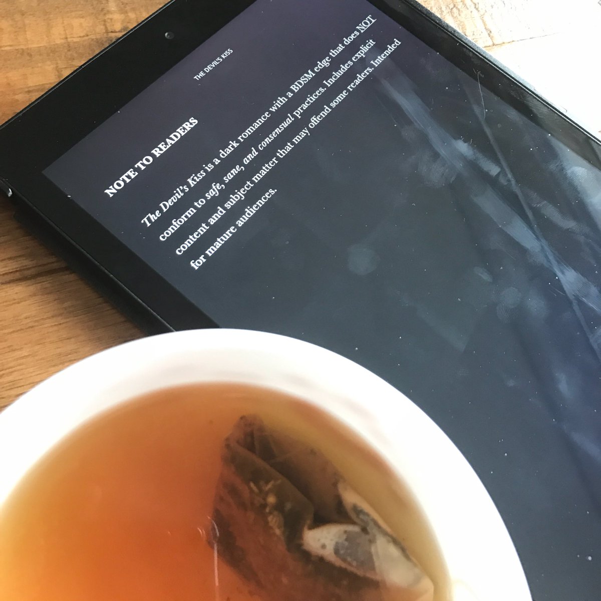 mammiebabbie's tweet photo. When the book you're reading gives you warning... 😳😵 @gemmajames80 you're killing me!
#thedevilskissseries #imreading #darkromance https://t.co/6e19n0AZ78