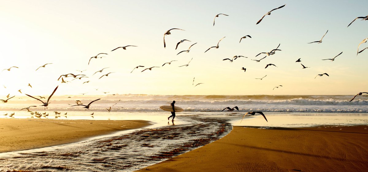 A place where to enjoy great ordinary stories about travel, adventure, sport and its rituals: this is <a href="/eldoradoexp/">eldorado experience</a> 
eldoradoexperience.org