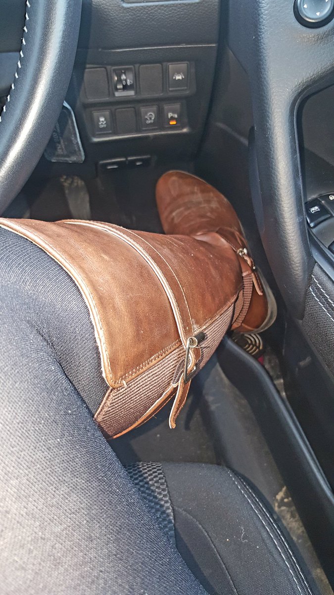 Miley_Rose21's tweet photo. Been on a muddy walk....who's cleaning my car and boots? Just by looking at this pic you owe me your money! Cunt! #slave #findom #paypig https://t.co/D25pgkUydn