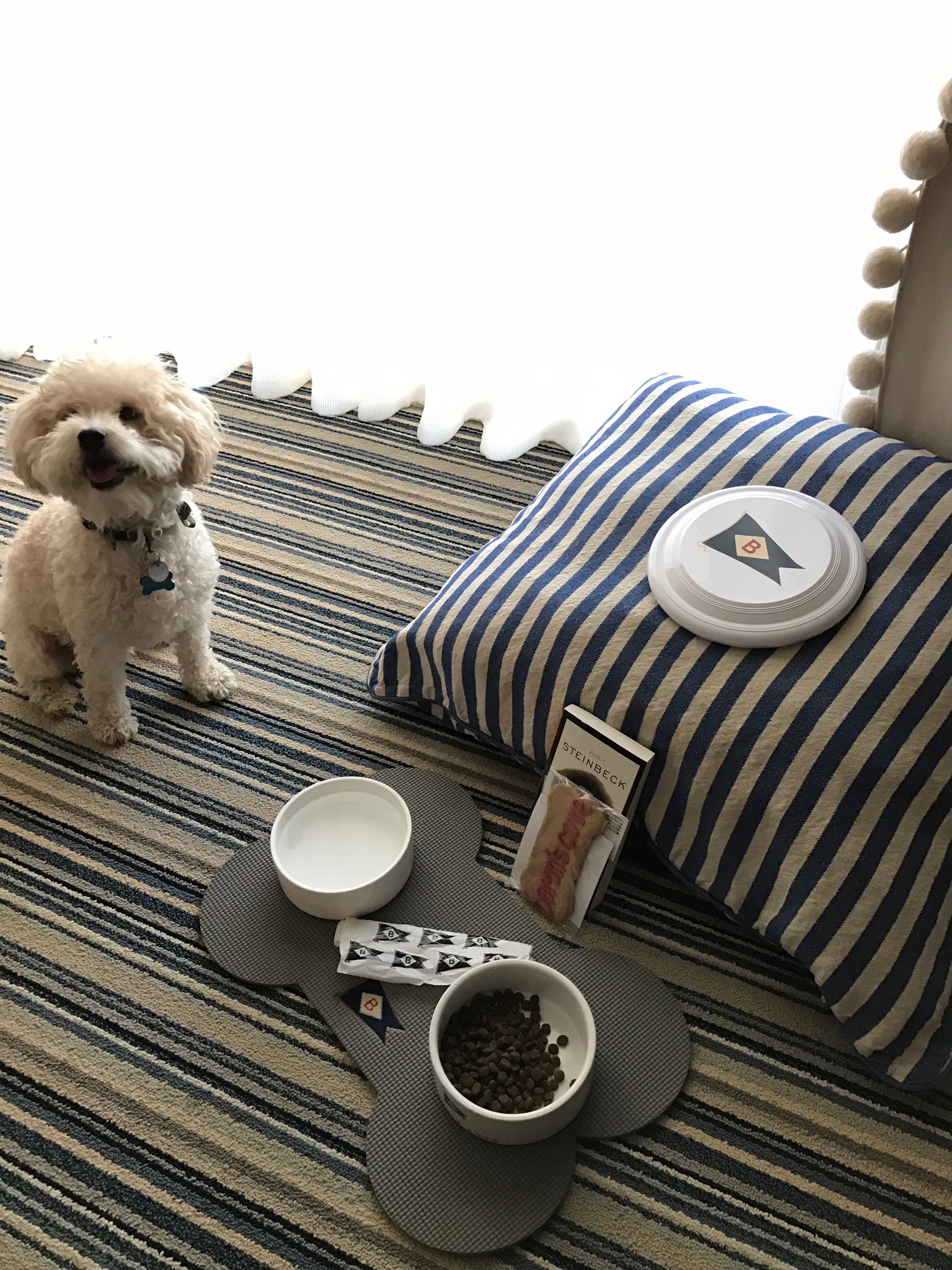 Checkey Beckford on Twitter "Cute SagHarbor hotel rolled out the 